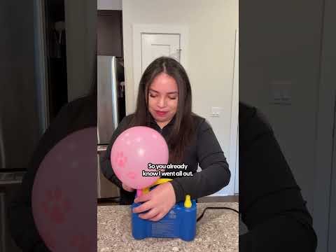 Dog Birthday Party Ideas | The Pack