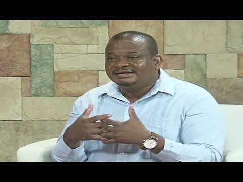 Faber Says Barrow Cannot Force U.D.P. to Take Position on 11th Amendment