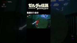 【つけゆうの #shorts 動画！】ゼルダの伝説ブレスオブザワイルド で踏んだり蹴ったり