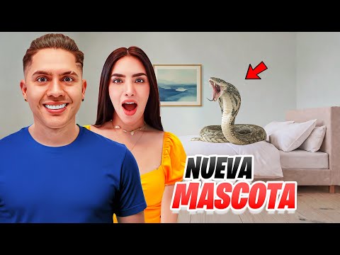 Our NEW PET is a SNAKE