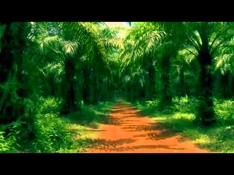 The Cure - A Forest ( extended version )