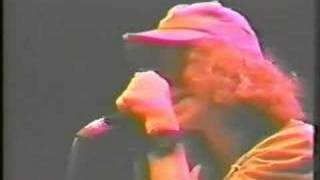 pearl jam bee girl live