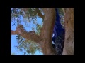 VR Troopers Ryan Rescues A Kitten