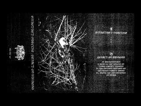 Embodied Spectre / Herald ov Wizborg (Spain) - S/T (Split 2021)