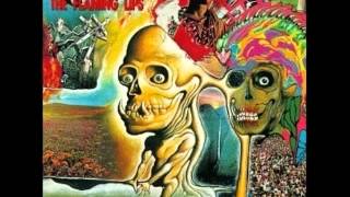 Flaming Lips   Love Yer Brain