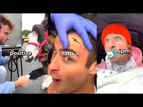 New Best Topper Guild Tik Tok 2023 - New Funny Tik Tok Memes - TikTok Famous