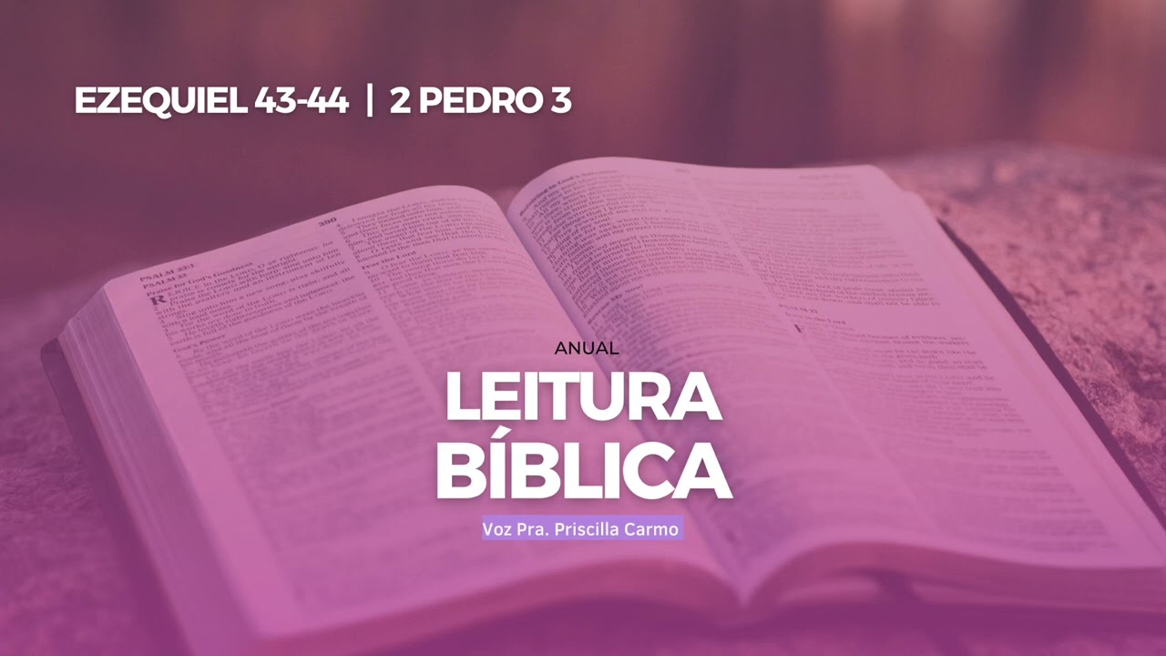 Leitura Bíblica Anual | 336º Dia