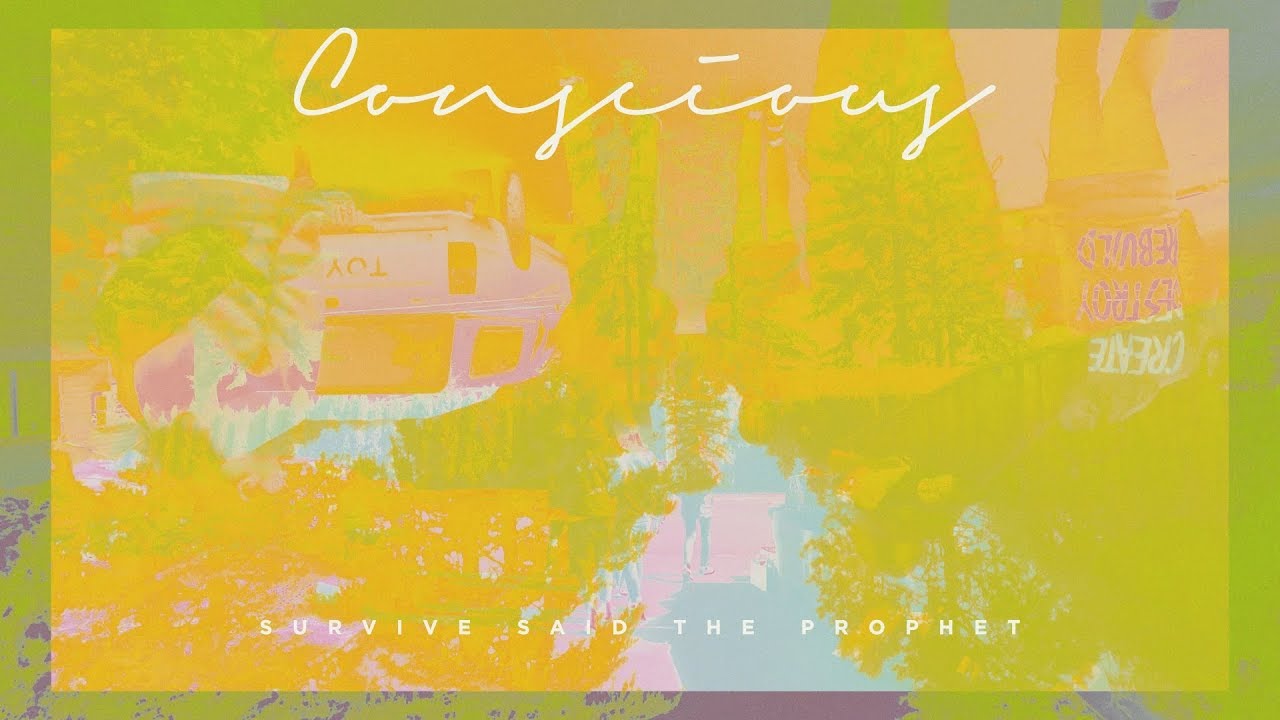 Conscious / Survive Said The Prophet