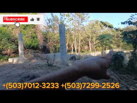 #6  bonitos lotes en bosquez de san luis talpa!! A solo 2 minutos del pueblo, x solo 25 mil c/u