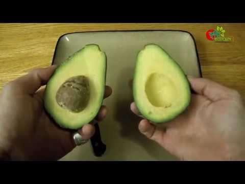 অ্যাভোকাডো(Avocado)-বাংলাদেশে হচ্ছে-গ্রাফটিং(grafting) পদ্ধতি-পৃথিবীর অন্যতম পুষ্টিকর ফল
