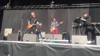 Tiger Lou - The more you give | The less you have to carry, Live @ Popaganda 2016