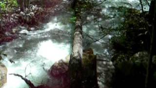 How to Have a Bad Time Tripping in Natural Splendor