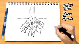 How to draw Tree Roots