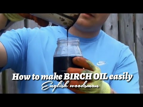 Birch oil, how to make birch oil from dead or Fallen birch tree bark