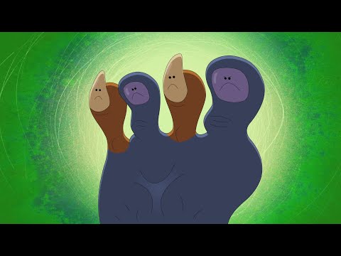 Zig & Sharko 🦿🧠 A SPECIAL FOOT 🦿🧠 Full Episode HD