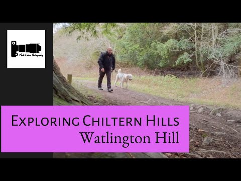 Watlington Hill In the Chilterns, Sunrise & Morning Hike.