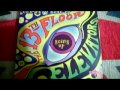 THE 13th FLOOR ELEVATORS LIVIN' ON