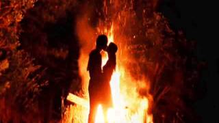 ich hab dich immer geliebt       Die paldauer