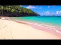 Softest Beach Sounds From The Tropics Ocean Wave Sounds For Sleeping Yoga Meditation Study