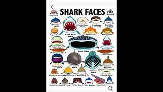 Download lagu Types of Sharks Gran Maja VS Bloop #sharks #elgranmaja #bloop #viralshorts #animals #deepsea mp3