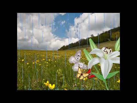 Tri Leptira - Vukosava Labović