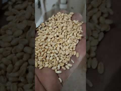 Uttam agro industries Punjab India 151206 M-9463023365,9463023395