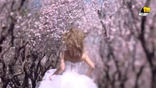 كلمات اغنية انت قمري ناي سليمان