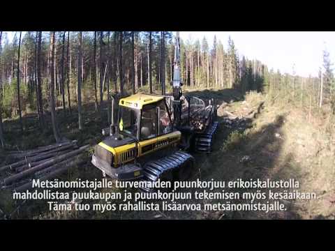 Erikoiskohteiden puunkorjuu