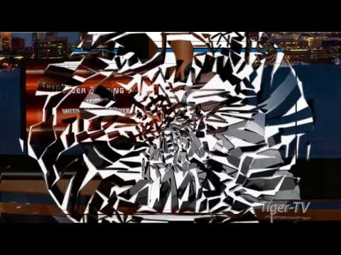 March 8th Power Trading Hour with David White on TFNN   2017