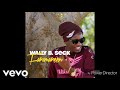 Wally B. Seck - Faramareen (audio music)