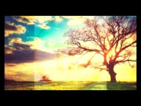 Dannic - Dear life(John Barnow Remix)