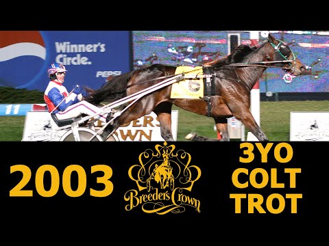 2003 Breeders Crown - Mr Muscleman - 3CT