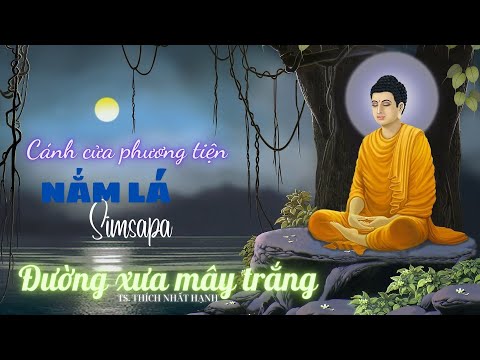 [P18] Cánh cửa phương tiện | Nắm lá Simsapa || ĐƯỜNG XƯA MÂY TRẮNG | Thiền sư Thích Nhất Hạnh