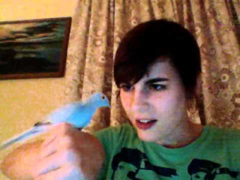 Kaki King inviting you to PIC.NIC 2011 Israel