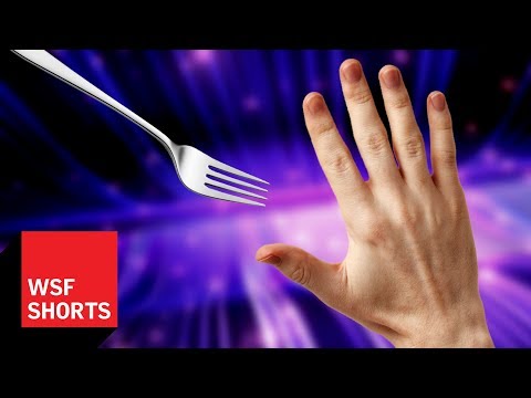 The Rubber Hand Illusion