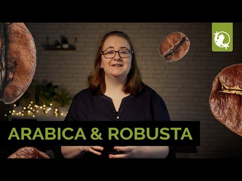 Die beliebtesten Kaffeearten: Alles zu Arabica- & Robusta-Kaffee | Anbau & Unterschiede | FROG.wiki