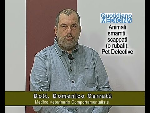 Medicina da vermi per la madre nutrente I helminths di mare pescano pericoloso per la persona
