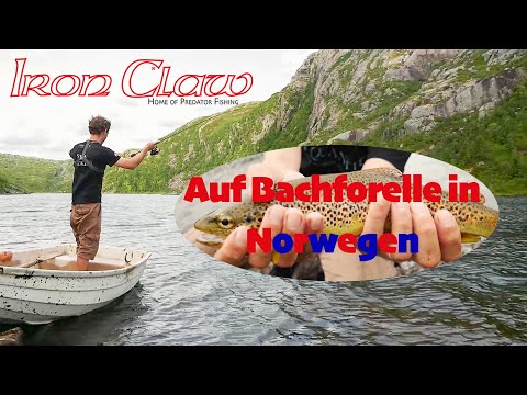 Forellenangeln in Norwegens Bergseen mit der Apace-Range von IRON CLAW | Traumhafte Landschaft