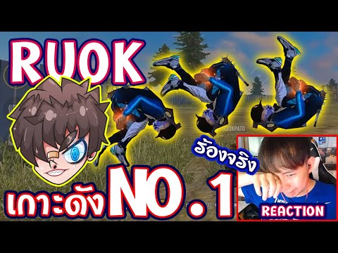 ฟีฟาย ruok