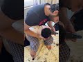 Shaheer Sheikh With His Daughter Anayasheikh Shaheersheikh Shorts