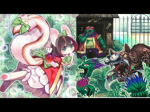 Lousiville Top 10, 60 Crad zombiesworn