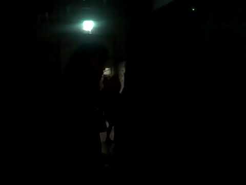 Rootical Sound System NYE Playing forthcoming Jah Militant release