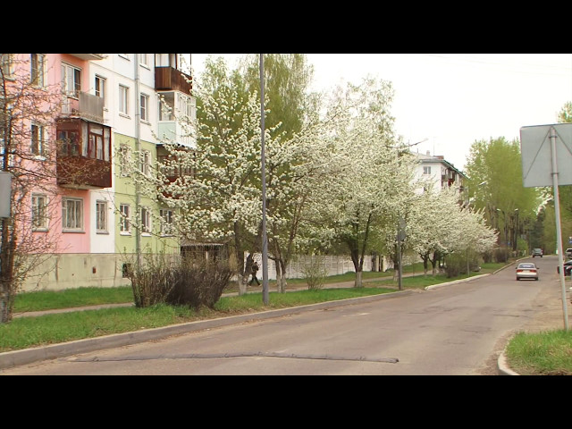 Борьба с горностаевой молью