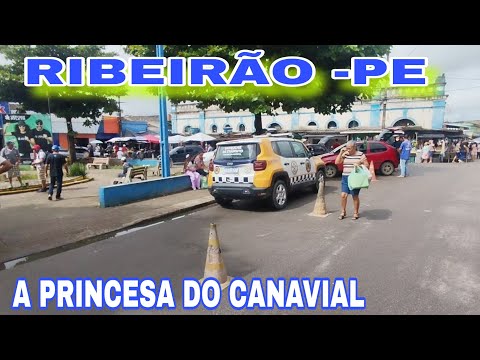 CENTRO COMERCIAL E FEIRA LIVRE DE RIBEIRÃO -PE MINHA PRIMEIRA VEZ AQUI!