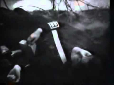 Doctor Who Companion Tribute No.7 - Sara Kingdom