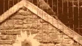 Manic Street Preachers - A Song For Departure (Patrick Jones Video)