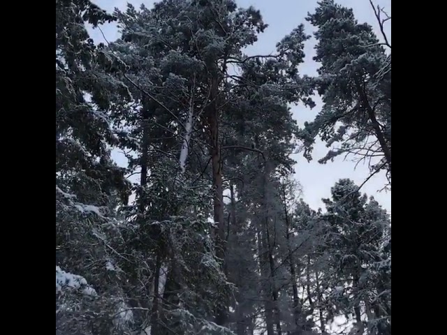 Профессионалы за работой