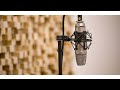 Edguy - Walk On Fighting (vocals backing track)