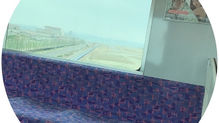 中村の骨