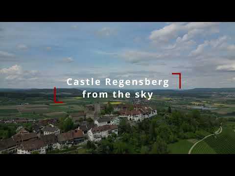 Castle Regensberg from the sky